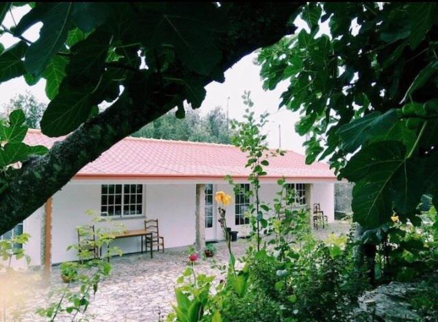 Casa Boavista Villa Paredes de Coura Buitenkant foto