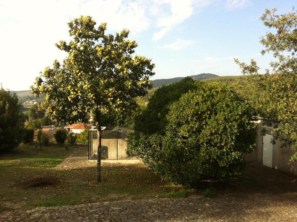 Casa Boavista Villa Paredes de Coura Buitenkant foto